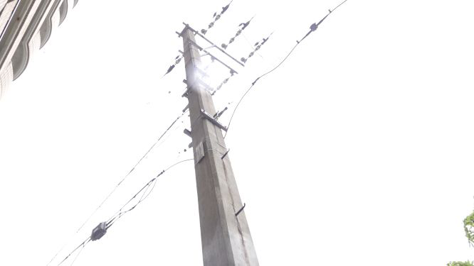日本最古のコンクリート電柱